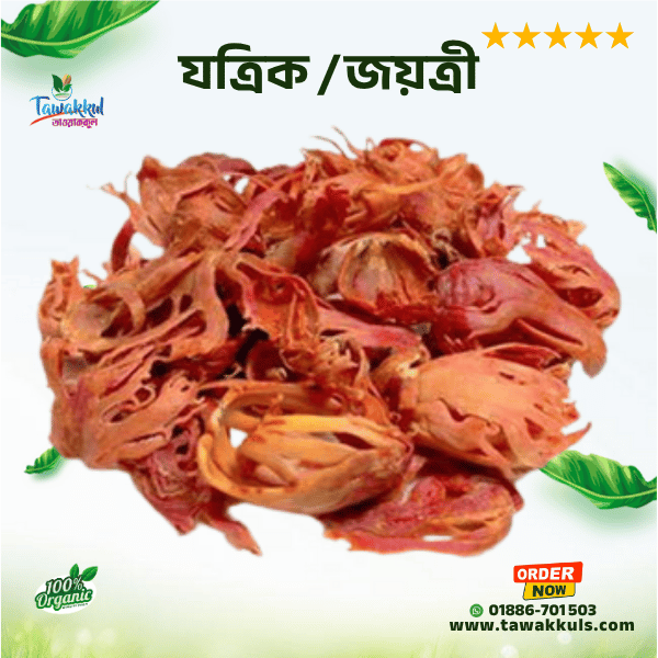 Mace - জয়ত্রী / যত্রিক ২৫ গ্রাম