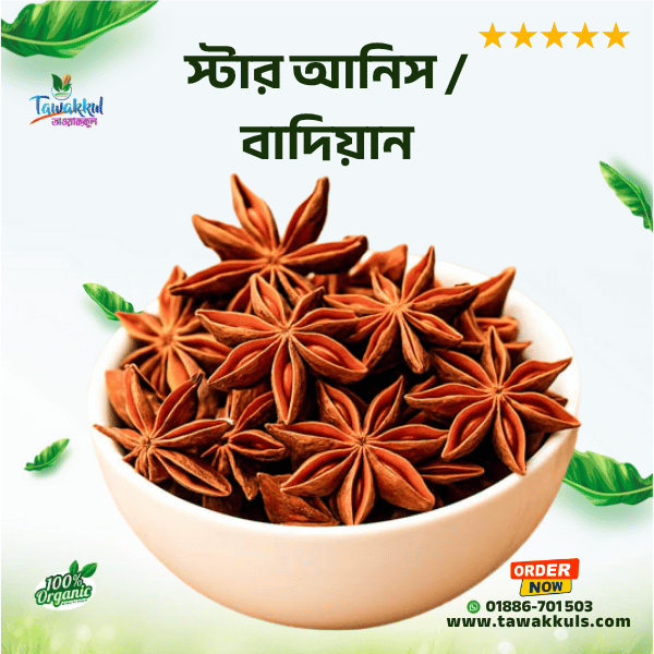 STAR ANISE - বাদিয়ান / স্টার মসলা ৫০ গ্রাম