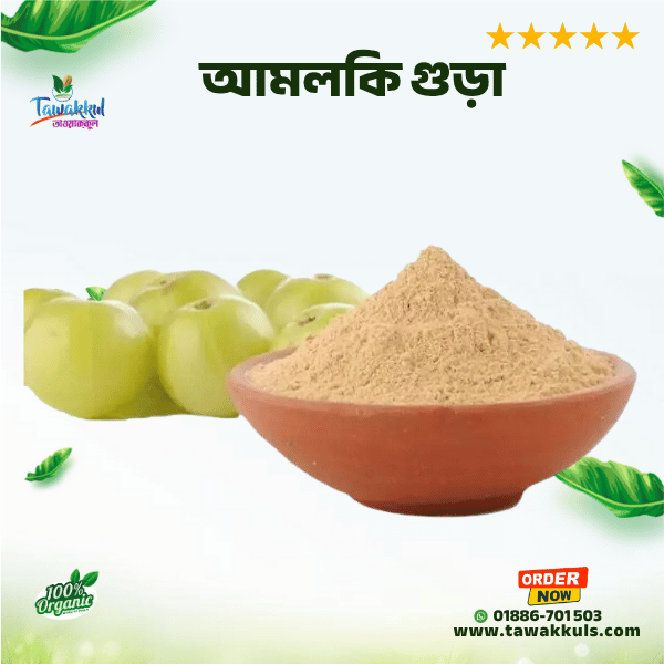 Amloki Powder - আমলকি গুড়া - ১০০ গ্রাম